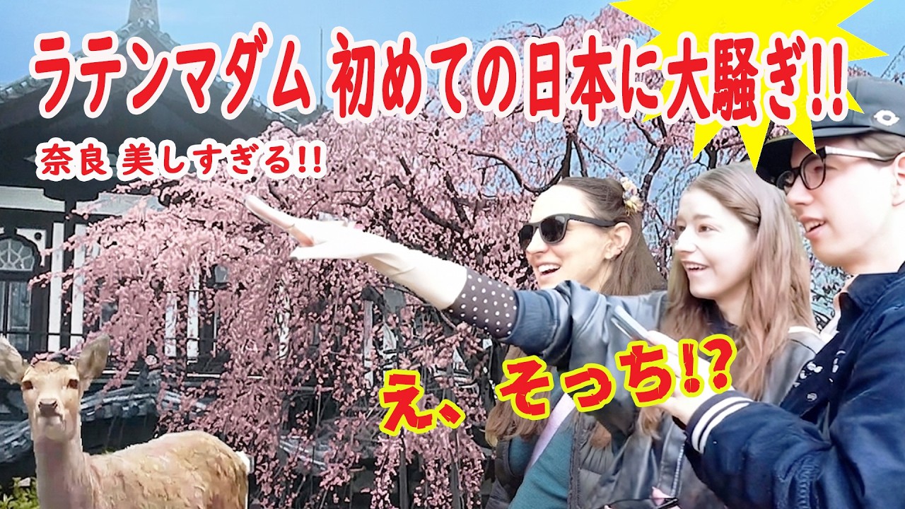 【リアルな海外の反応】今美しすぎる奈良に外国人殺到！初めて見た日本に大感激！東大寺　春日大社　鹿寄せ＃nara　＃deer　#park