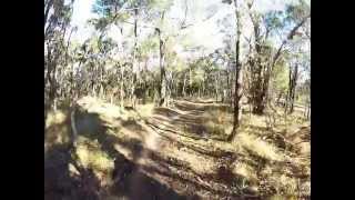 preview picture of video 'MTB Smiths Gully - Rob Roy Southside Trail Descent-Pt1'