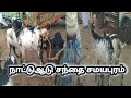 Today S Market Information Samayapuram National Goat Market Shorts