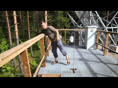 Prix Forum IV – Hybrid Art (2015): Agnes Meyer-Brandis (DE)