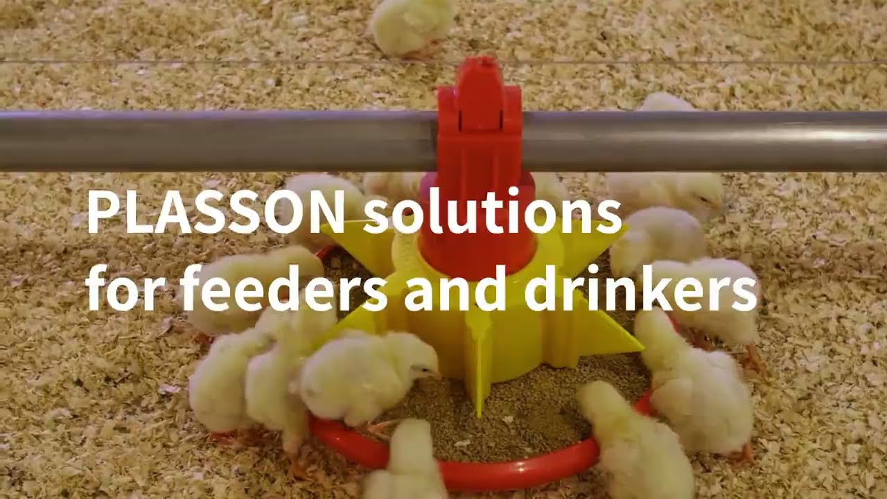 Wide Poultry Offering  -Engineering that never clocks out