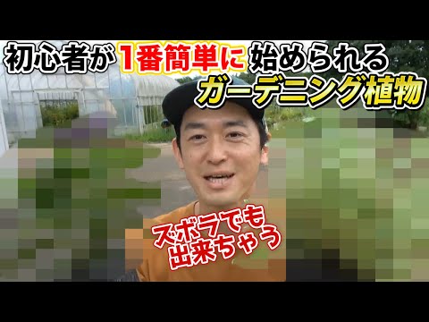 2月にハーブを植える方法 パセリ タイム チャイブ 耐寒性