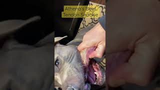 Beef Tendon Snack: Great Natural Toothbrush For Your Dog’s Teeth! #shorts #dogs #dog