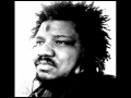 Wesley Willis - I Murdered Your Family