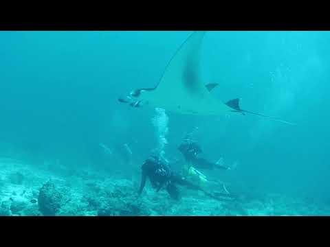 Zdenka & Chris Manta über mir