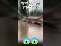 इस ट्रक का ड्राइवर तो हैवी ड्राइवर Short