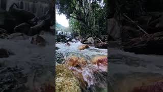 Download lagu Suara Air Sungai #sungai #air #storywa mp3