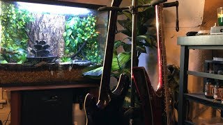 Polaris - No Rest Dual Guitar Cover