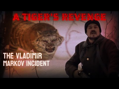 What Happened to Vladimir Markov Will Leave You Speechless