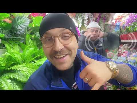 PLUSMACHER & BUDDHA JEDER IHRER SINGLES ► (prod. GHANAIAN STALLION) (Official Video)