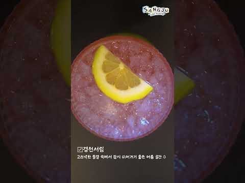 [2026 상주시 sns 서포터즈] 컬러헌팅:상주의 보라를 찾아서