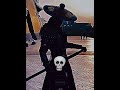 Song ODNOGO ULTRAFUNK Short