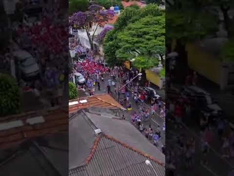 Doentes da Sapucaí 2018