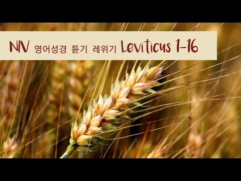 LEVITICUS 1-16: NIV Audio Bible(with text)