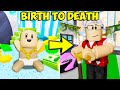 Birth To Death The Trillionaire A Roblox Brookhaven RP Movie