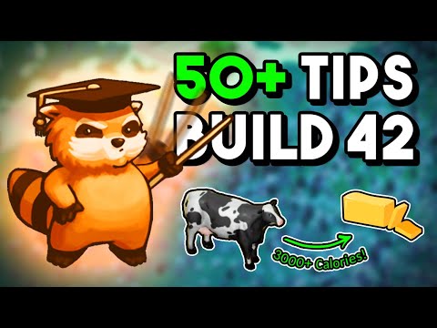 50+ Tips & Tricks For Build 42! Project Zomboid Guide To Things You NEED To Know About This Update!