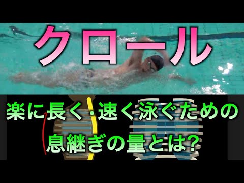 クロール 楽に泳ぐための息継ぎの量（初級者〜上級者向け） - Swimming.jpSwimming.jp
