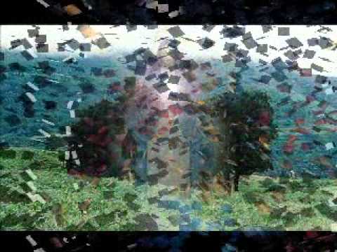 Ave Maria - Ângelo Donga - Voz e versão Raquel da Rosa.wmv