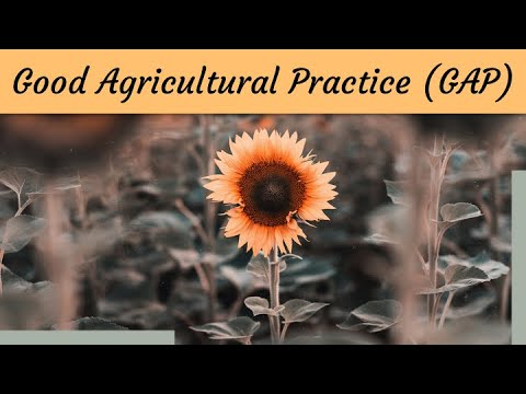 Good Agricultural Practices - Workers - HACCP
