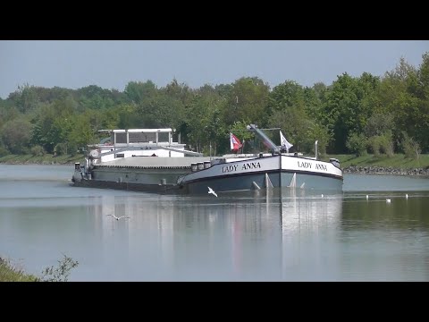 GMS Lady Anna  02006915