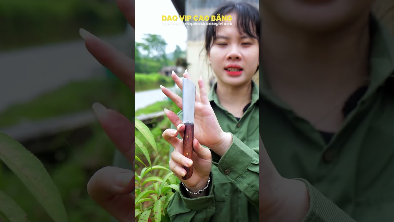 Dao ghép cành thép trắng bản lớn - DRTK