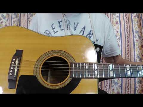 Pearl Dreadnought Acoustic Guitar made by Hayashi Gakki CIRCA 1977 image 26