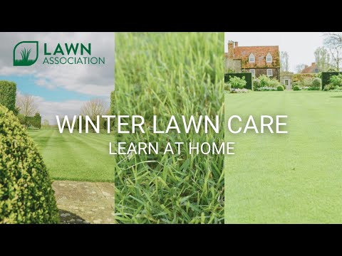 WINTER LAWN CARE | MOWING, MOSS, AERATION | Lawn Association