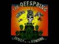 The Offspring - Intermission