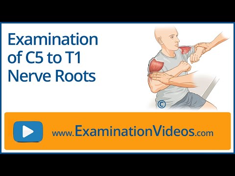 Examination of C5 to T1 Nerve Roots