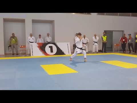 Asai ryu kata demo at SKDUN Worlds in Moldova 2018