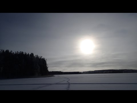 Purkkikalojen saalistus jatkui Saimaalla.