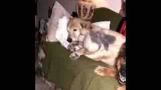 I&#39;ll Never Smoke With Willie Again