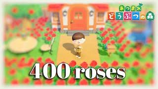 【あつ森】400本のバラを植えてみた【あつまれどうぶつの森】 I planted 400 roses in Animal Crossing: New Horizons