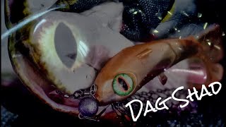 Revolution Tackle Dag Shad 16cm Firefly