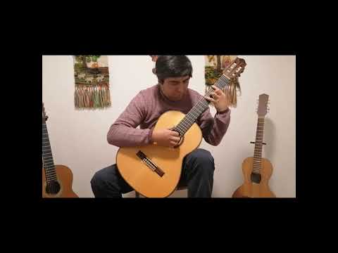 Wesha Kona de Los Nahuelpangui (versión e interpretación, Carlos Martin)