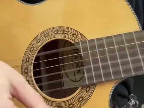 Aurora Borealis + The Most Evolved by John H Clarke (Flamenco)