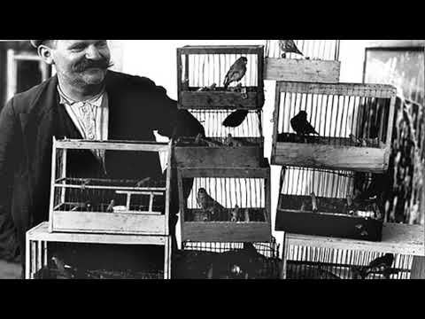 Sârba rachiului / The hard liquor sprightly dance