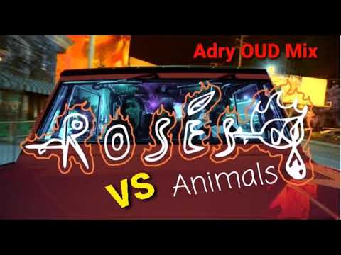 SAINt JHN - Roses (Imanbek Remix) Vs Martin Garrix - Animals | Adry Oud Mix