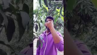 Download lagu Sawan ke jhulo ne mujhko bulaya,,Mai pardesi Ghar wapas aaya,,,,,,,, mp3