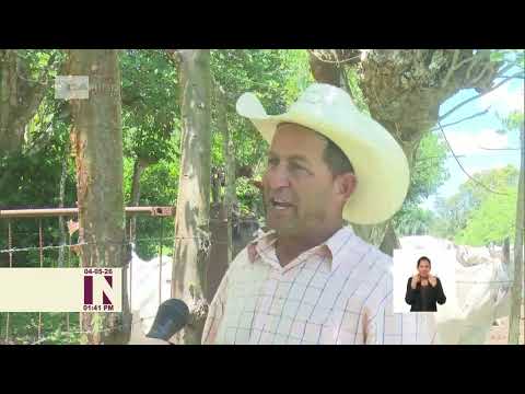 Sancti Spíritus provincia destacada en el movimiento anapista en Cuba