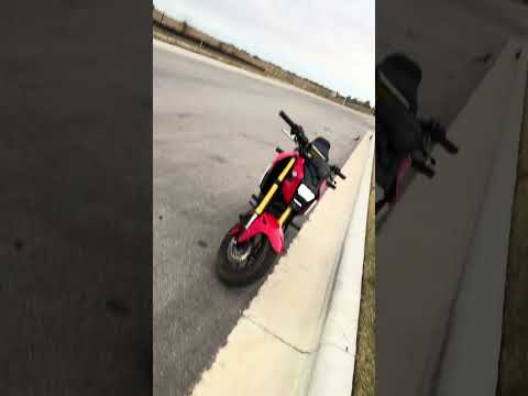 Saturday morning #grom #wheelie #practice