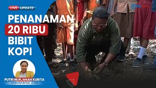 Petani Kopi Robusta Canangkan Penanaman 20 Ribu Bibit Kopi di Lahan 20 Hektar di Kabupaten Jayapura