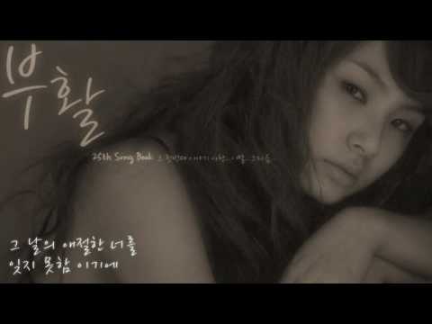 부활 - 비와 당신의 이야기 (1986年)