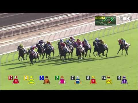 13/11/2021 (173) Best For You - Vincent Ho