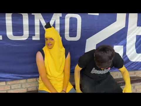 MISION MINIONS