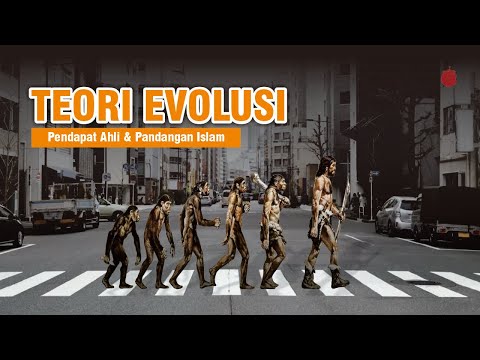 TEORI EVOLUSI: PENDAPAT AHLI DAN PANDANGAN ISLAM! | INFORMANGGU EPS. 55