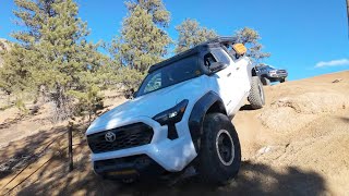 2025 New Year's Day Trail Run! Colorado