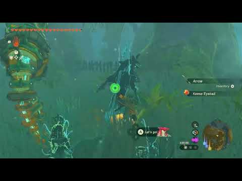 Golden Apple x6, Mido Swamp | The Legend of Zelda: Tears of the Kingdom