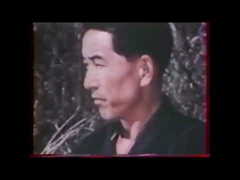 Japan Budo Martial Arts Documentary