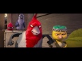 The Dance And Fight Of Birds With Monkeys Best Seen Of Rio Hindi